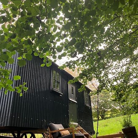 Cornwall Woodland Shepherd'S Hut Deirdres Hut ボドミン エクステリア 写真