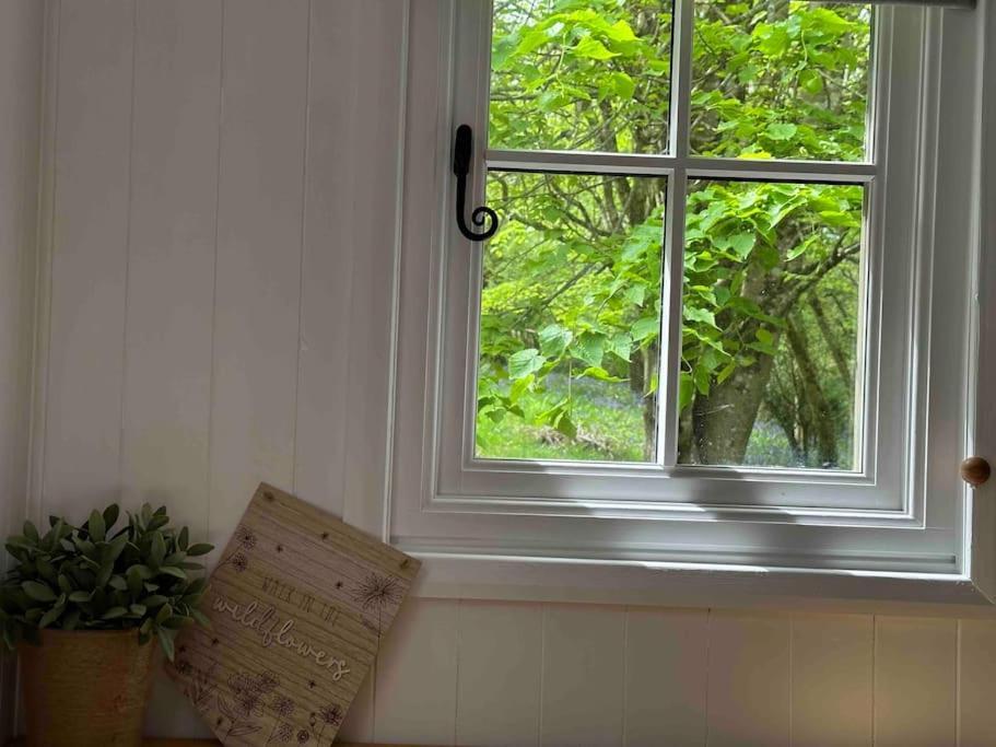 Cornwall Woodland Shepherd'S Hut Deirdres Hut ボドミン エクステリア 写真
