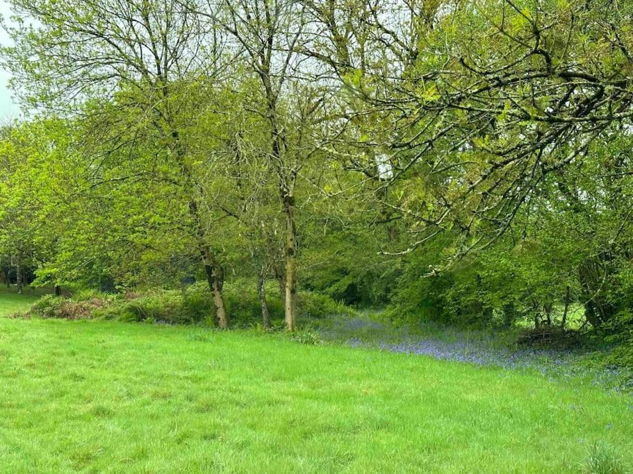 Cornwall Woodland Shepherd'S Hut Deirdres Hut ボドミン エクステリア 写真