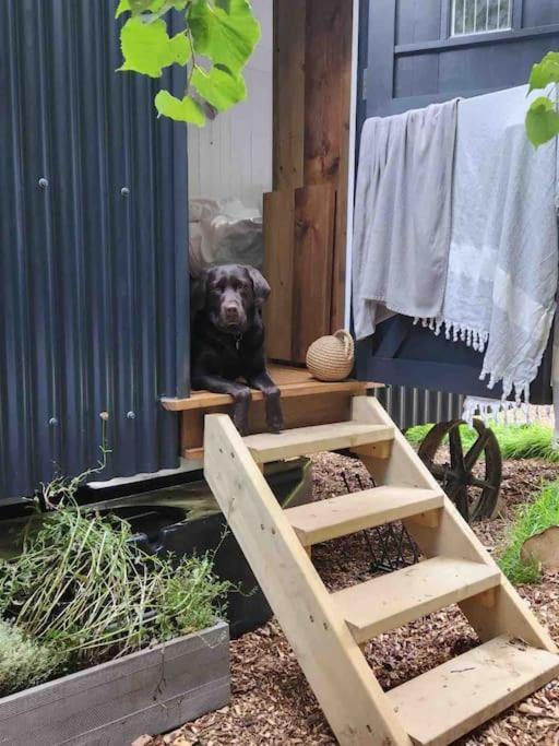 Cornwall Woodland Shepherd'S Hut Deirdres Hut ボドミン エクステリア 写真