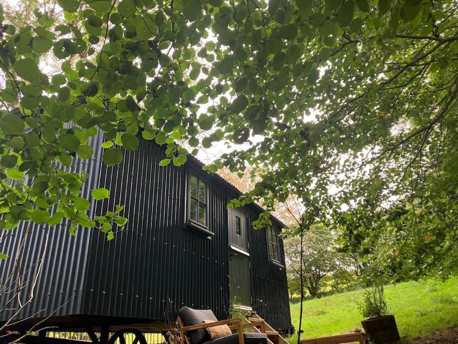 Cornwall Woodland Shepherd'S Hut Deirdres Hut ボドミン エクステリア 写真