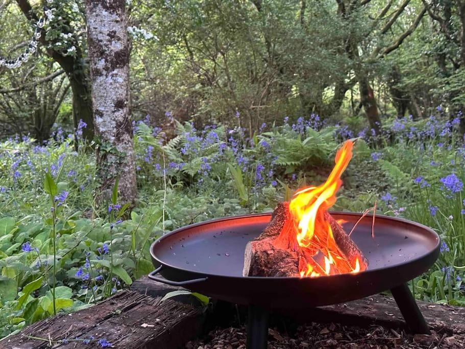Cornwall Woodland Shepherd'S Hut Deirdres Hut ボドミン エクステリア 写真
