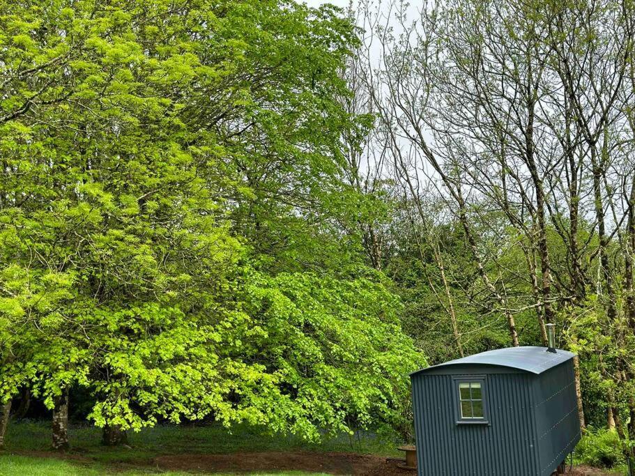 Cornwall Woodland Shepherd'S Hut Deirdres Hut ボドミン エクステリア 写真