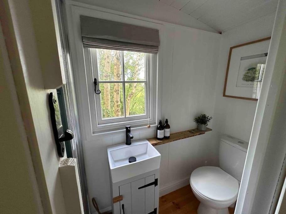Cornwall Woodland Shepherd'S Hut Deirdres Hut ボドミン エクステリア 写真