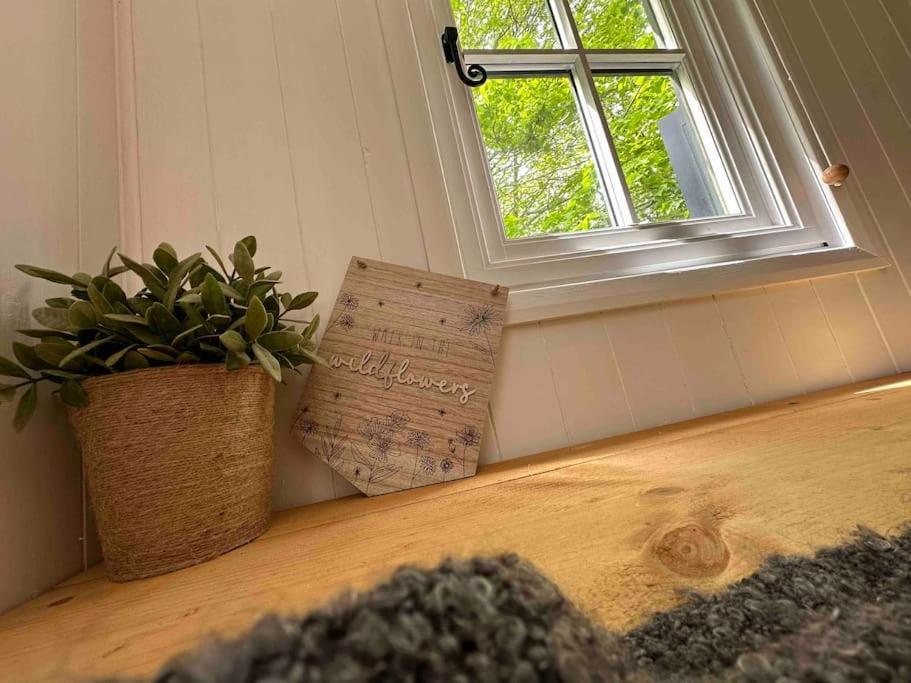 Cornwall Woodland Shepherd'S Hut Deirdres Hut ボドミン エクステリア 写真