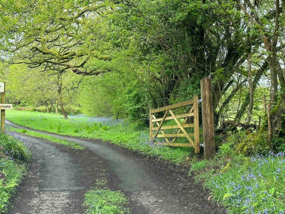 Cornwall Woodland Shepherd'S Hut Deirdres Hut ボドミン エクステリア 写真