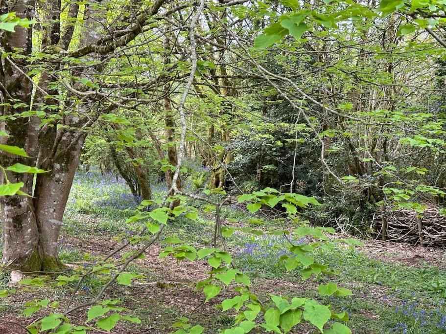 Cornwall Woodland Shepherd'S Hut Deirdres Hut ボドミン エクステリア 写真